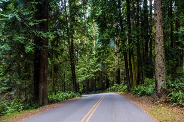 istock A long way down the road going to Whidbey Island, Washington 1394924031
