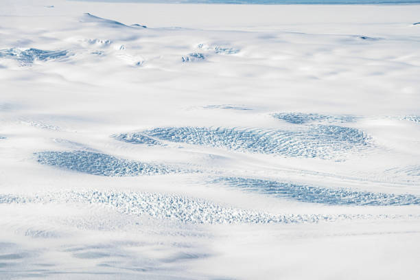 바다로 흐르는 남극 대륙을 덮고 있는 빙상 - terra nova bay 뉴스 사진 이미지