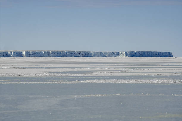 바다 얼음에 갇힌 표 모양의 빙산 - terra nova bay 뉴스 사진 이미지
