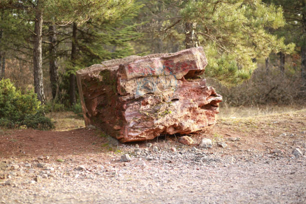 big rock among green trees
