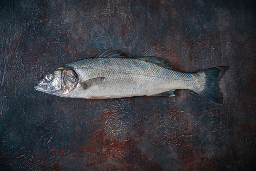 Raw Seabass fish Robalo fresh seafood on dark moody gray background with copy space