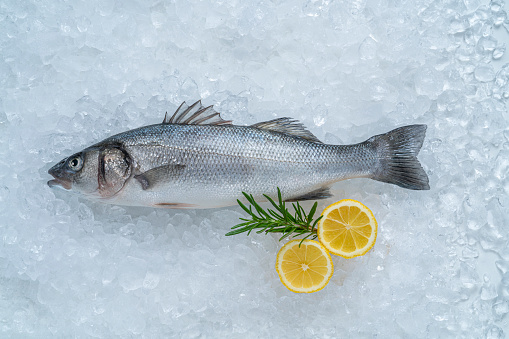 Raw Seabass fish Robalo fresh seafood on ice with lemon and rosemary leaving a copy space
