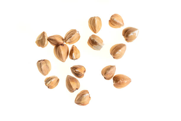 istock buckwheat groats on a white isolated background 1394928005