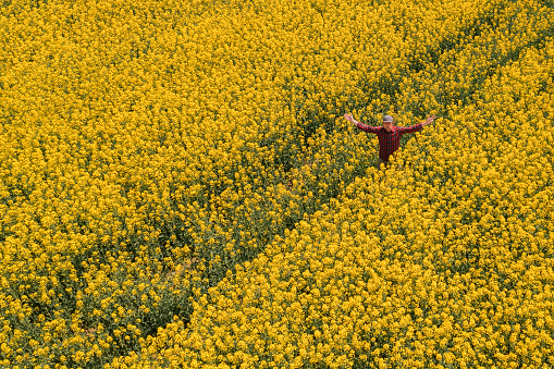 Aerial view of confident successful male farmer standing in blooming rapeseed field and looking over crops, drone photography