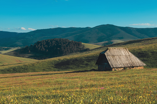 Shepherd cottage on Zlatibor hill slope in Serbia, beautiful landscape with blue sky