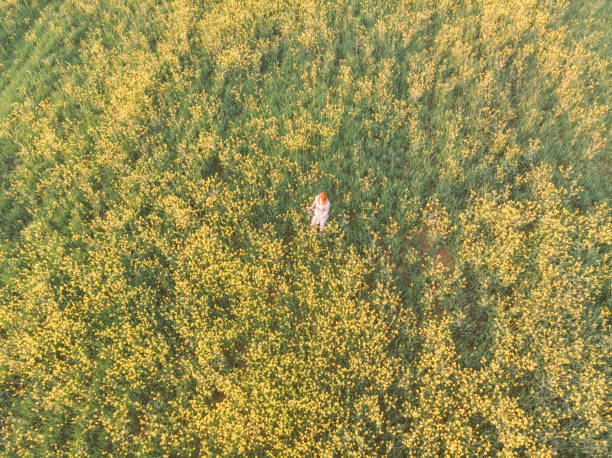 istock Female farmer at her oilseed rape field 1394934460