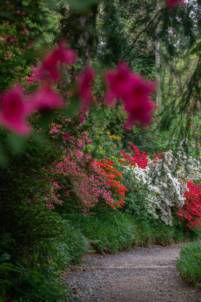 istock Beautiful Garden with blooming trees during spring time 1394936788