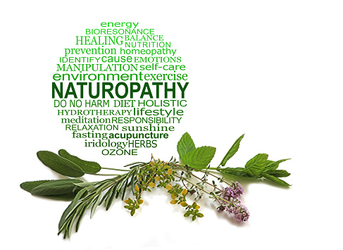 circular word cloud in graduated green against a white background with four different culinary herbs neatly arranged below with copy space