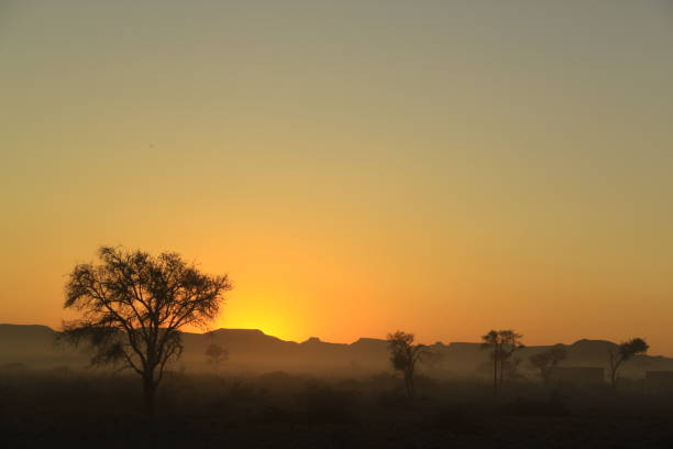 istock Sunsetting over Etosha National Park, Namibia 1394943319