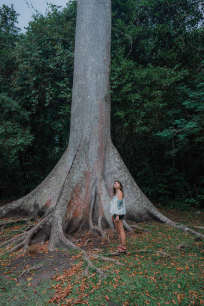 istock Woman standing under the huge tree in tropical rainforest 1394954734