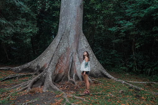Young Caucasian woman standing under the huge tree in tropical rainforest