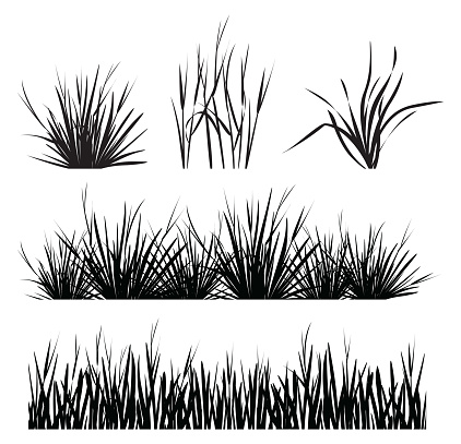 Vector set of grass silhouette isolated on white background