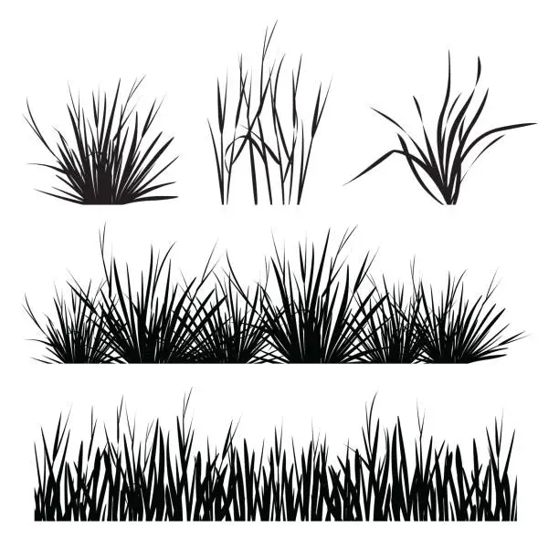 Vector illustration of Set of grass silhouette isolated on white background