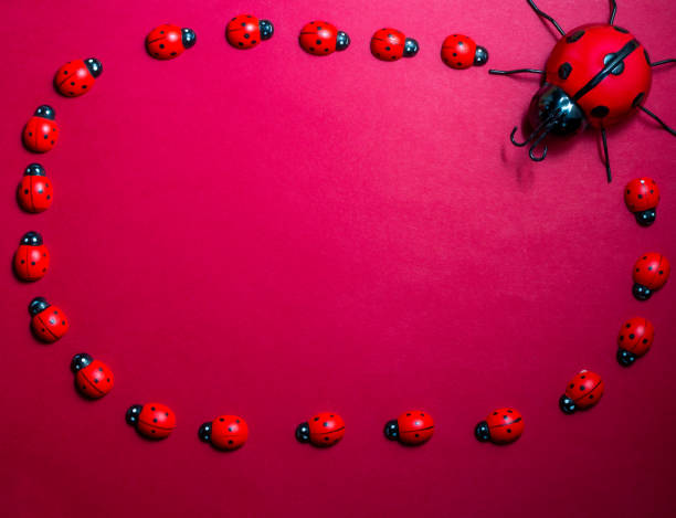 istock small and large toy ladybirds on a red background ,copy space . 1394963997