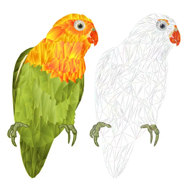 Vector illustration of Parrot lovebird Agapornis tropical bird   polygons and outline on a white background  vector illustration editable hand draw