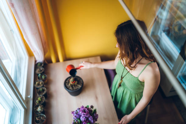 istock Woman watering plants 1394966366
