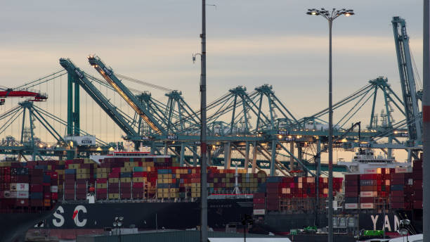 Port of Los Angeles Container Ships Port of Los Angeles, California, USA - February 1 2021: image of the port during a crowded afternoon. Up to three containner ships are seen in the process of loading and unloading. san pedro los angeles photos stock pictures, royalty-free photos & images