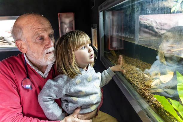 grandfather carrying his granddaughter for a walk in the aquarium, looking attentively at the fish in the fish tank. - great grandchild imagens e fotografias de stock