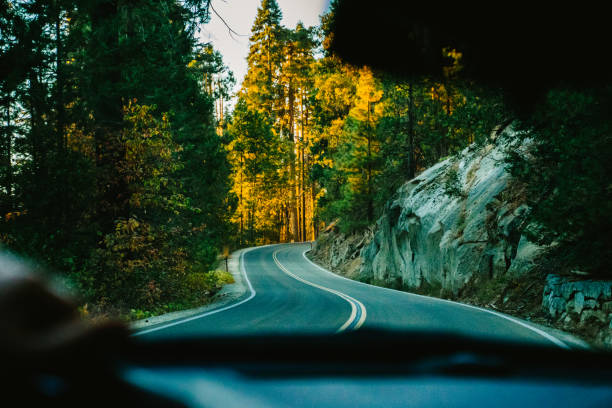 Empty Road with double yellow stripes in the forest in Mountains in Fall in Calofornia. View from car