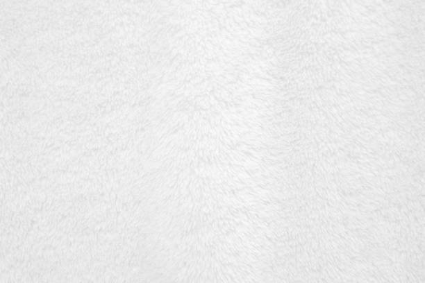 istock White clean wool texture background. light natural sheep wool. white seamless cotton. texture of fluffy fur for designers. close-up fragment white wool carpet. 1394978584