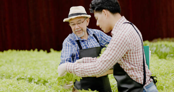 istock Asian farm owner and workers inspect hydroponic vegetables in a large nursery. Caring for vegetables to have good quality and environmentally friendly produce. modern agricultural technology 1394978642