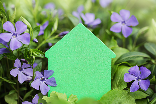 Green House on violet flower background. Property Insurance. Copy space. Mock up. Decarbonization of Real Estate.