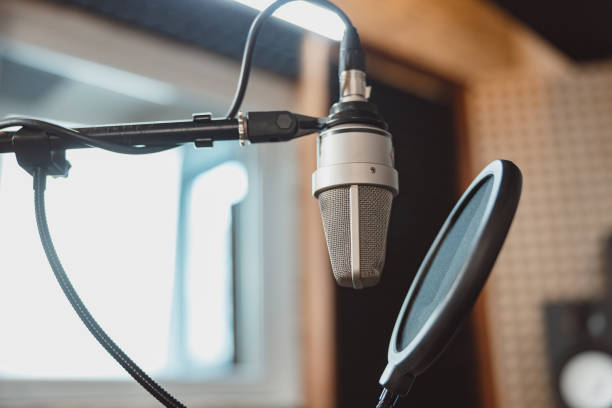 istock Professional microphone with waveform in the sound recording studio 1394980441