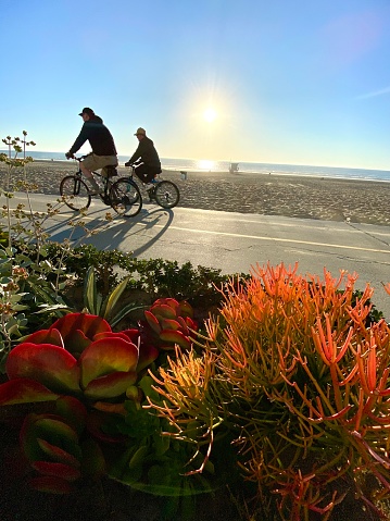 Hermosa beach, USA - January 23, 2020: People cycling along the beach