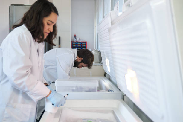 istock Two young researchers storing samples in the laboratory freezer. 1394986692