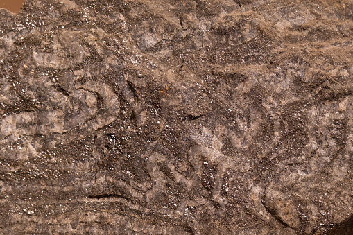 Magnetite in ferruginous quartz. Close-up of a mineral. Paleontological background, texture.