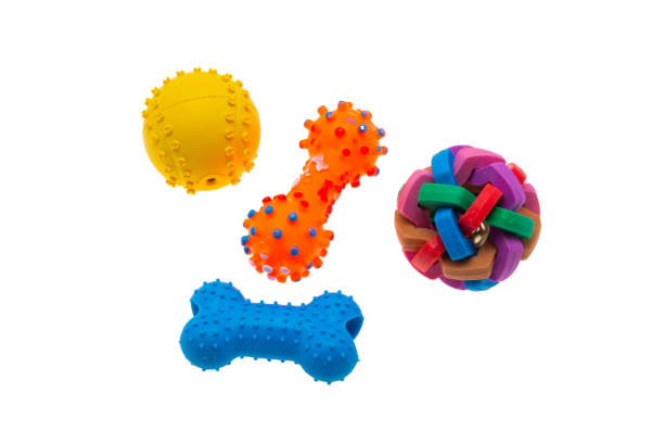 istock dog toys isolated 1394989213