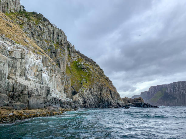 Cape Hauy, Eaglehawk Neck coastal cliff view on Tasman National Park conservation area, Port Arthur, Tasmania, Australia Cape Hauy, Eaglehawk Neck coastal cliff view on Tasman National Park conservation area, Port Arthur, Tasmania, Australia. tasman sea stock pictures, royalty-free photos & images