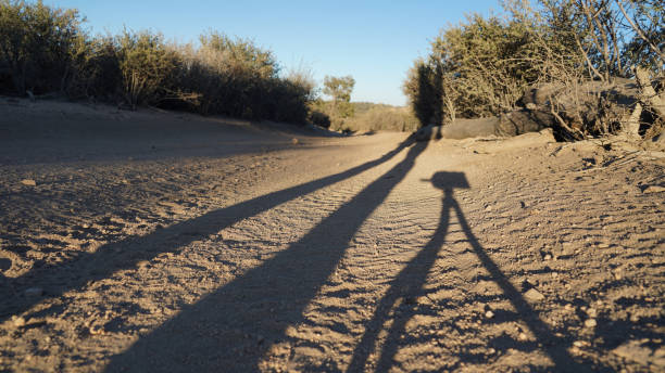 istock Pacific Crest Trail Desert Section F from Tehachapi Pass to Walker Pass in California, USA. 1394989634