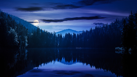 tranquil landscape with lake in summer at night