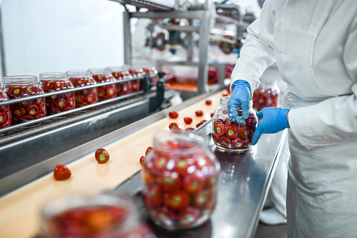 Stuffed Cherry Peppers Getting Put In Jars On Food Processing Plant Production Line