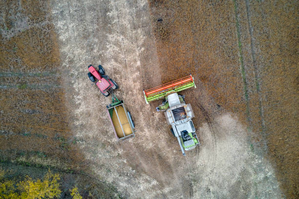 istock Aerial view of combine harvester unloading grain in cargo trailer working during harvesting season on large ripe wheat field. Agriculture and transportation of raw farm products concept 1394994474