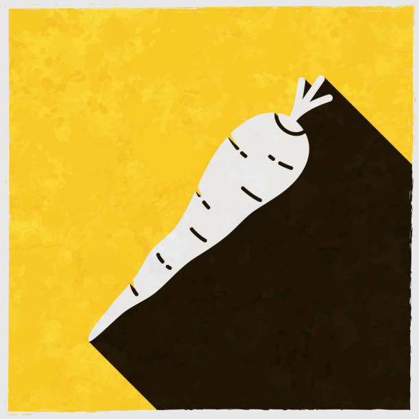 pasternak. ikona z długim cieniem na teksturowanym żółtym tle - root paper black textured stock illustrations