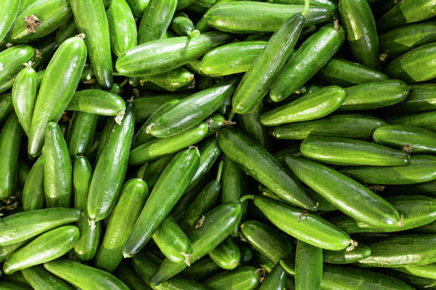 istock Full frame of green cucumbers background 1394997721
