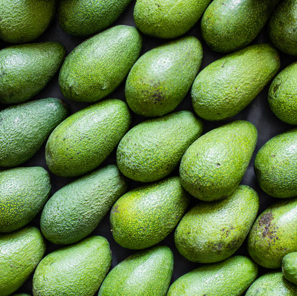Full frame of fresh green avocado background