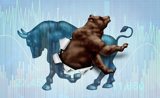 Emerging Bear market correction concept with a bull and bearish stock market  as a metaphor for change in investing sentiment and markets headed towards negative territory in a 3D illustration style.