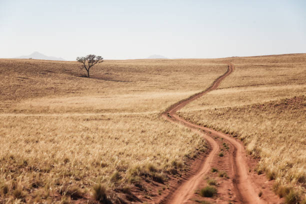 sendero todoterreno a través de las dunas en la reserva natural namib rand, namibia - single lane road road sky dirt road fotografías e imágenes de stock
