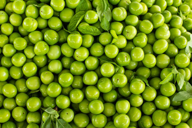 Full frame of green fresh organic farmer’s plumps background