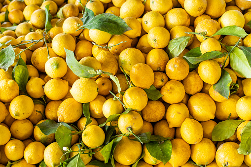 Full frame of yellow  fresh organic farmer’s lemon background