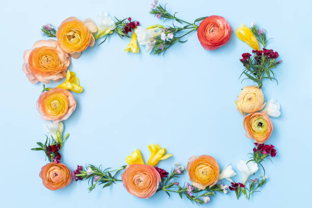 istock Flower flat lay for decorative design on blue background. Minimal romantic hipster concept, summer mockup background with wildflowers. 1395001350