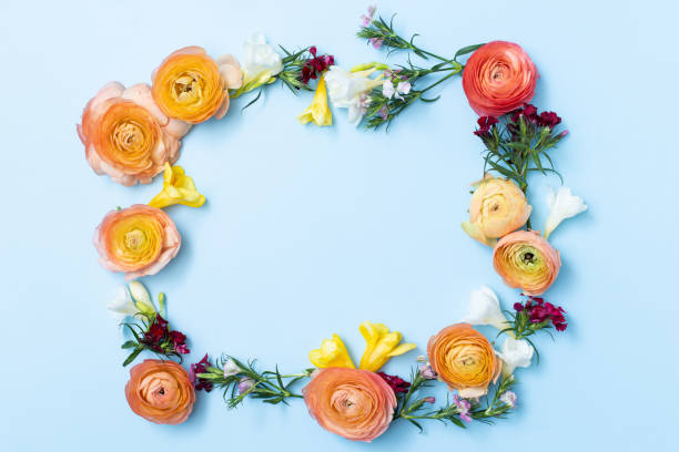 istock Flower flat lay for decorative design on blue background. Minimal romantic hipster concept, summer mockup background with wildflowers. 1395001368