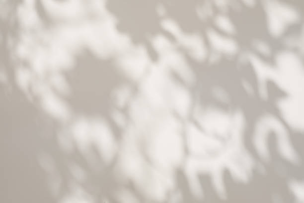 istock Dark blooming tree, leaves and branches shadows against beige wall in sunny day. Summer sunlight overlay effect. Empty copy space. Natural texture backdrop. Neutral abstract floral background. 1395001387