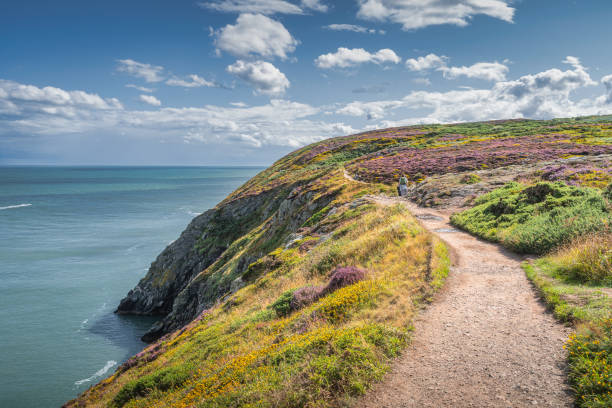 gente caminando entre coloridos brezos, helechos y flores amarillas en howth cliff walk - barranco fotografías e imágenes de stock