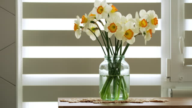 Woman puts a bouquet of spring narcissus flowers in vase on table in the kitchen. Housewife taking care of coziness decor on her domestic kitchen. Arranging yellow flowers at home slow motion