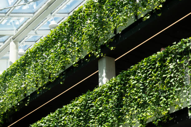 Green architecture. Green wall with flowers and plants, vertical garden inside modern building. Low angle view
