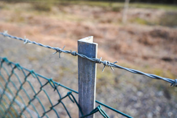 istock Close up of barbed wire fence 1395005527